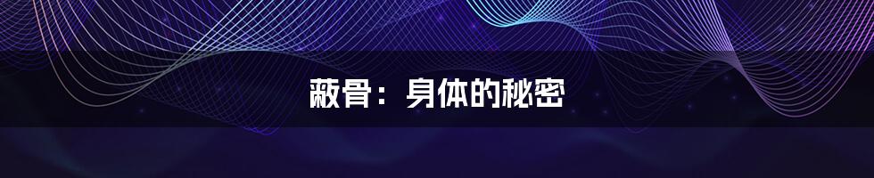 蔽骨:身体的秘密