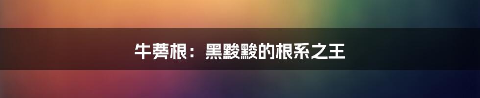 牛蒡根：黑黢黢的根系之王