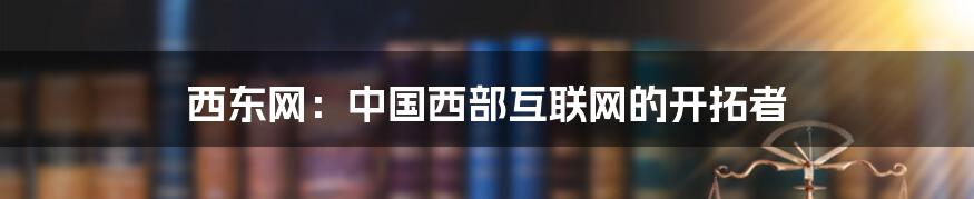 西东网：中国西部互联网的开拓者