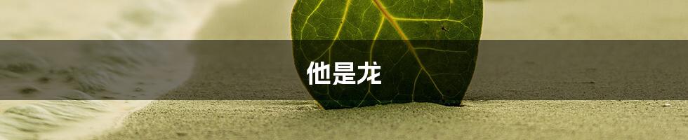 他是龙