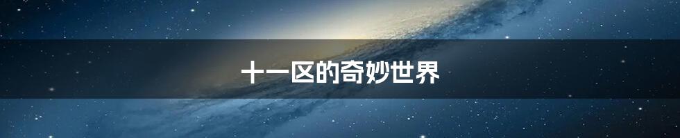 十一区的奇妙世界