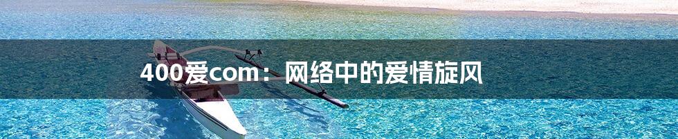 400爱com:网络中的爱情旋风