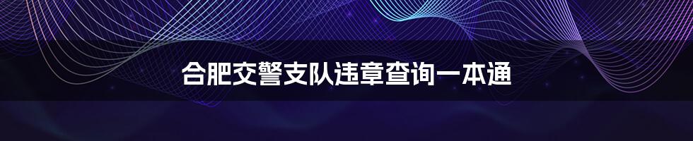 合肥交警支队违章查询一本通