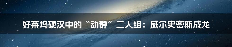 好莱坞硬汉中的“动静”二人组：威尔史密斯成龙