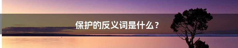 保护的反义词是什么?