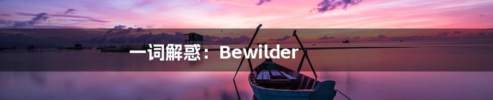 一词解惑:Bewilder