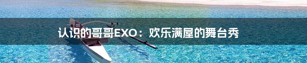 认识的哥哥EXO:欢乐满屋的舞台秀