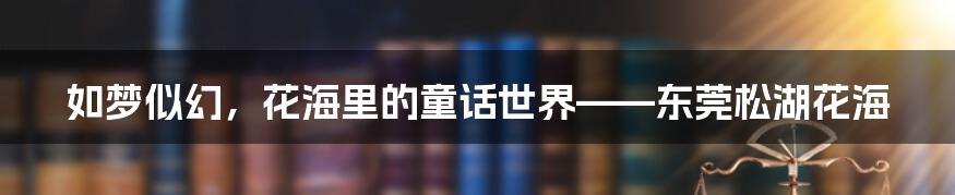 如梦似幻，花海里的童话世界——东莞松湖花海