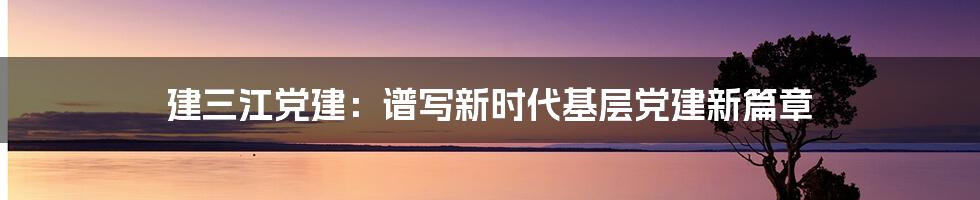 建三江党建：谱写新时代基层党建新篇章