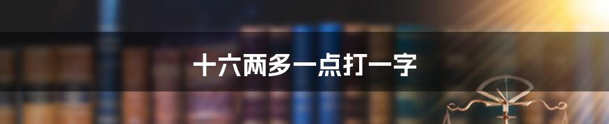 十六两多一点打一字