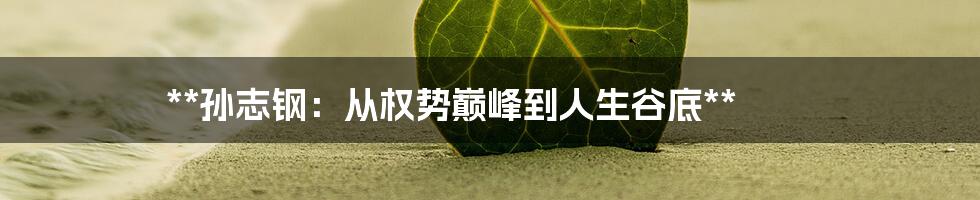 **孙志钢:从权势巅峰到人生谷底**