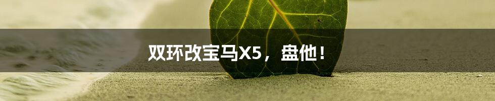 双环改宝马X5,盘他!