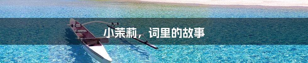 小茉莉,词里的故事
