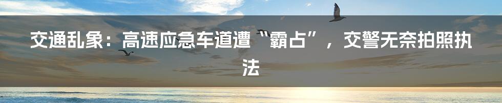 交通乱象：高速应急车道遭“霸占”，交警无奈拍照执法