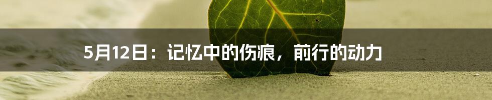 5月12日:记忆中的伤痕,前行的动力