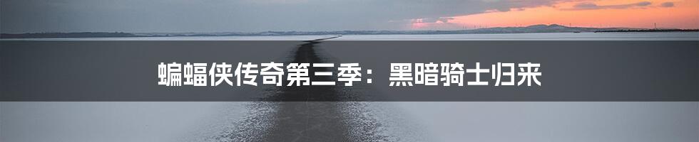 蝙蝠侠传奇第三季:黑暗骑士归来