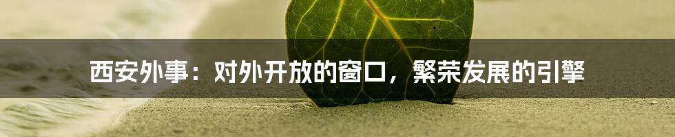 西安外事：对外开放的窗口，繁荣发展的引擎