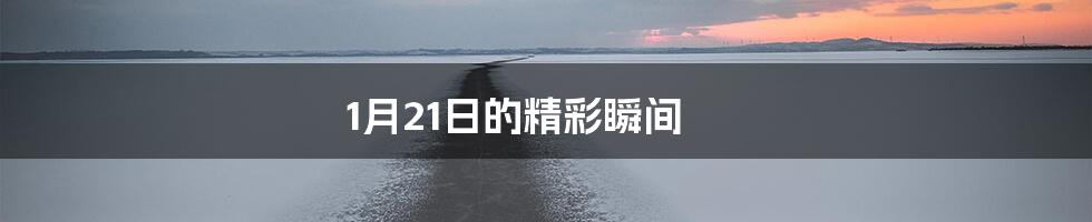1月21日的精彩瞬间