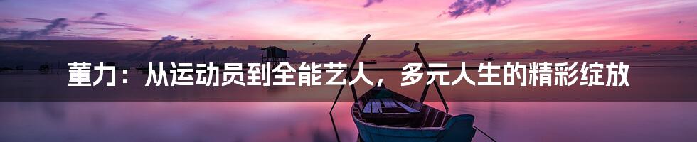 董力:从运动员到全能艺人,多元人生的精彩绽放