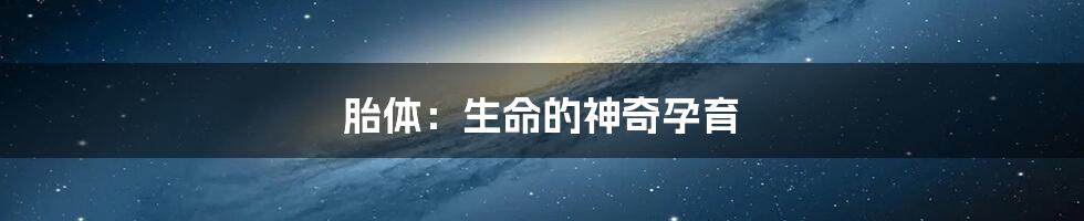 胎体:生命的神奇孕育