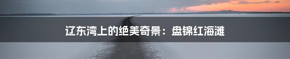 辽东湾上的绝美奇景:盘锦红海滩