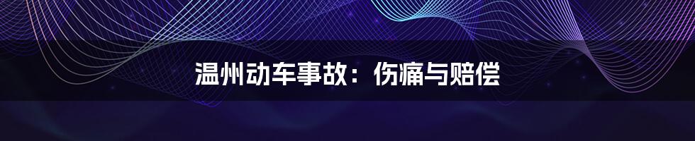 温州动车事故：伤痛与赔偿