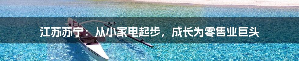 江苏苏宁:从小家电起步,成长为零售业巨头