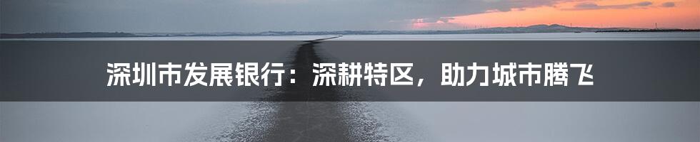 深圳市发展银行:深耕特区,助力城市腾飞