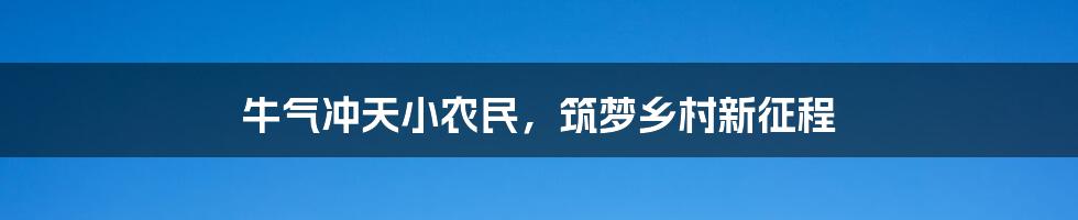 牛气冲天小农民,筑梦乡村新征程