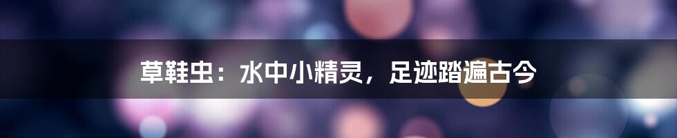 草鞋虫:水中小精灵,足迹踏遍古今