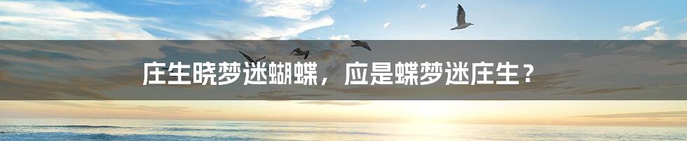 庄生晓梦迷蝴蝶，应是蝶梦迷庄生？