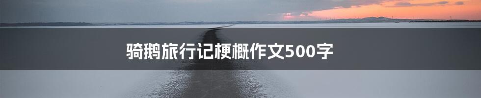 骑鹅旅行记梗概作文500字