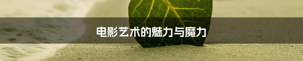 电影艺术的魅力与魔力