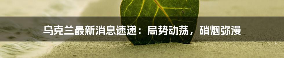 乌克兰最新消息速递:局势动荡,硝烟弥漫