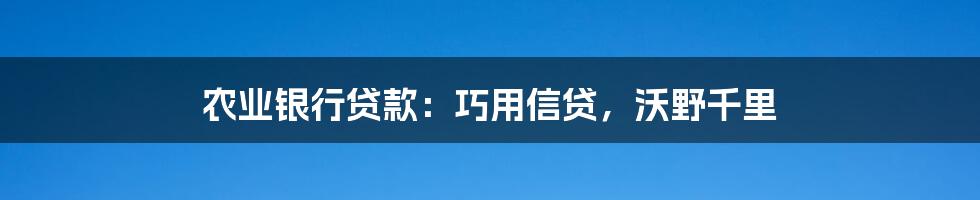 农业银行贷款：巧用信贷，沃野千里
