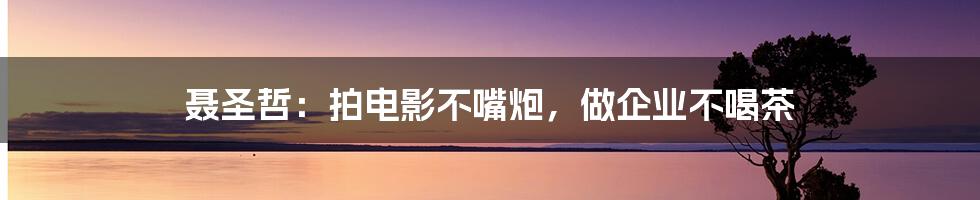 聂圣哲:拍电影不嘴炮,做企业不喝茶