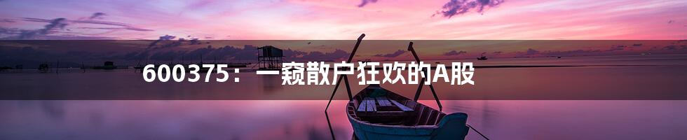 600375：一窥散户狂欢的A股