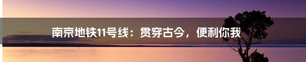 南京地铁11号线：贯穿古今，便利你我