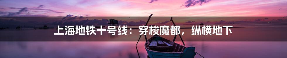 上海地铁十号线:穿梭魔都,纵横地下