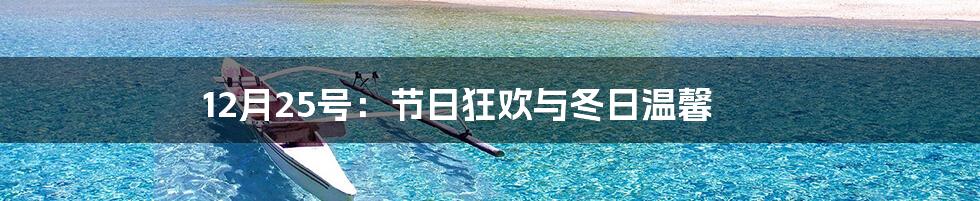 12月25号：节日狂欢与冬日温馨