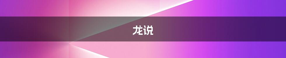 龙说