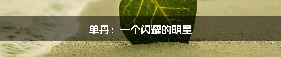 单丹：一个闪耀的明星