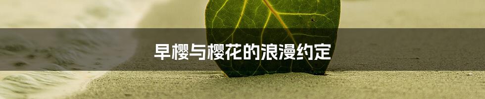 早樱与樱花的浪漫约定