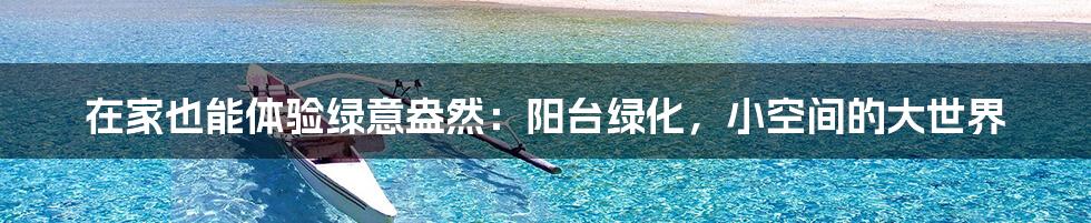在家也能体验绿意盎然:阳台绿化,小空间的大世界