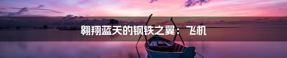 翱翔蓝天的钢铁之翼:飞机