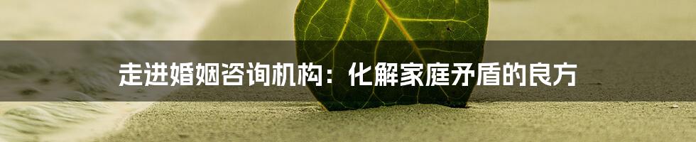 走进婚姻咨询机构:化解家庭矛盾的良方