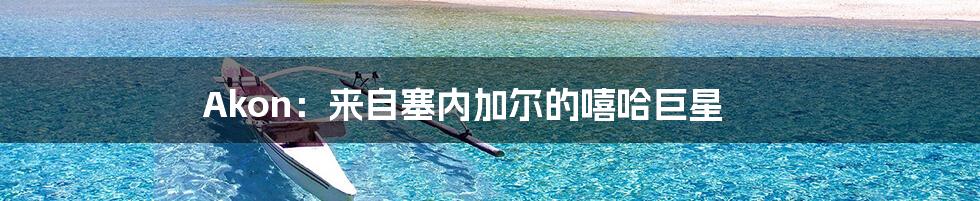 Akon:来自塞内加尔的嘻哈巨星