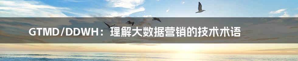 GTMD/DDWH:理解大数据营销的技术术语