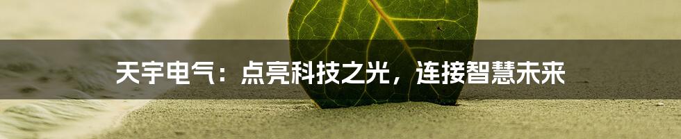 天宇电气:点亮科技之光,连接智慧未来
