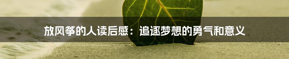 放风筝的人读后感:追逐梦想的勇气和意义